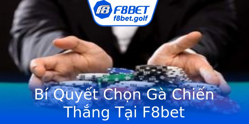 Bí Quyết Chọn Gà Chiến Thắng Tại F8bet Bí Quyết Chọn Gà Chiến Thắng Tại F8bet