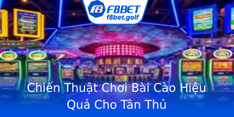 Chiến Thuật Chơi Bài Cào Hiệu Quả Cho Tân Thủ Chiến Thuật Chơi Bài Cào Hiệu Quả Cho Tân Thủ