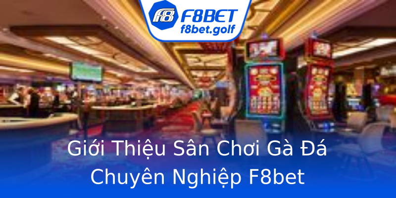 Giới Thiệu Sân Chơi Gà Đá Chuyên Nghiệp F8bet Giới Thiệu Sân Chơi Gà Đá Chuyên Nghiệp F8bet
