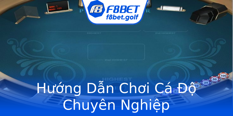 Hướng Dẫn Chơi Cá Độ Chuyên Nghiệp Hướng Dẫn Chơi Cá Độ Chuyên Nghiệp