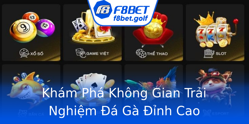Khám Phá Không Gian Trải Nghiệm Đá Gà Đỉnh Cao Khám Phá Không Gian Trải Nghiệm Đá Gà Đỉnh Cao