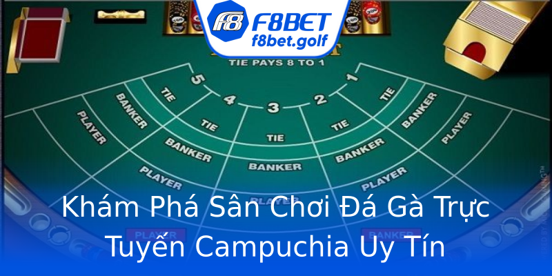 Khám Phá Sân Chơi Đá Gà Trực Tuyến Campuchia Uy Tín Khám Phá Sân Chơi Đá Gà Trực Tuyến Campuchia Uy Tín