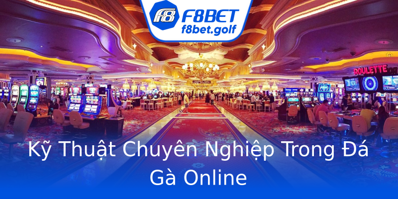 Kỹ Thuật Chuyên Nghiệp Trong Đá Gà Online Kỹ Thuật Chuyên Nghiệp Trong Đá Gà Online