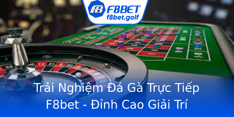Trải Nghiệm Đá Gà Trực Tiếp F8bet - Đỉnh Cao Giải Trí Trải Nghiệm Đá Gà Trực Tiếp F8bet - Đỉnh Cao Giải Trí